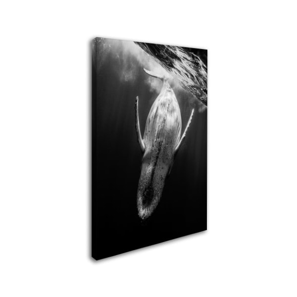 Barathieu Gabriel 'Black And Whale' Canvas Art,12x19